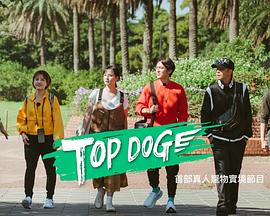 夜色直播《TOP DOG》免费在线观看