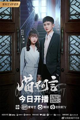 大秀视频《喵不可言》免费在线观看