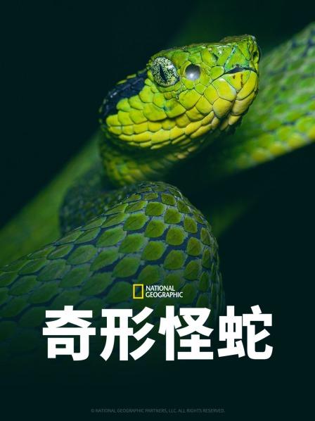 大秀视频《奇形怪蛇》免费在线观看